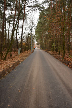 4_lesna
