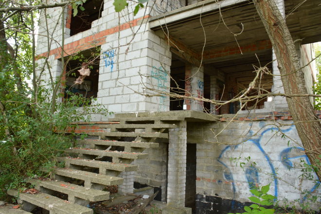DSC_8716