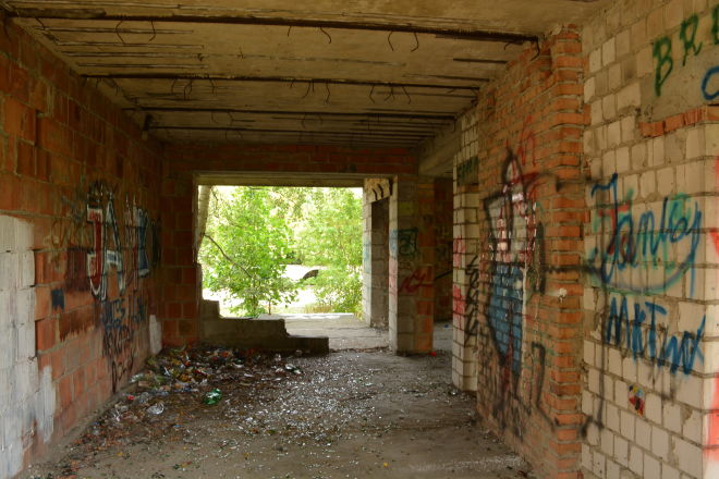 DSC_8726